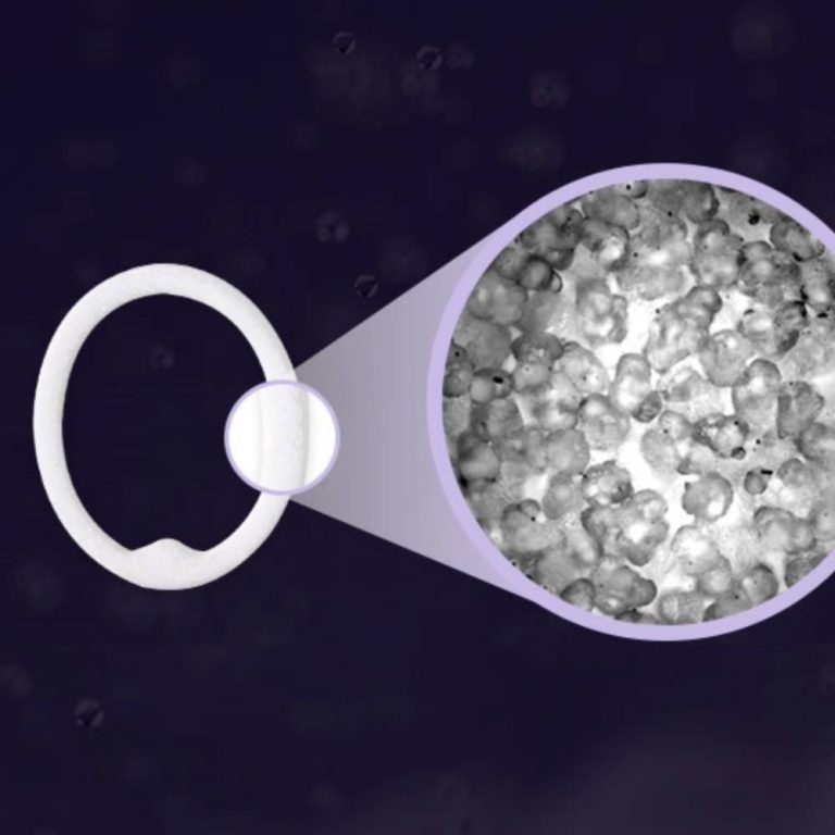 Impurity Prevention Filter