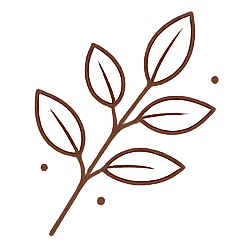 Filosofie inspirată din K-Beauty